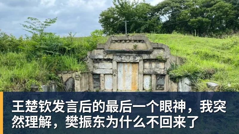 王楚钦发言后的最后一个眼神，我突然理解，樊振东为什么不回来了